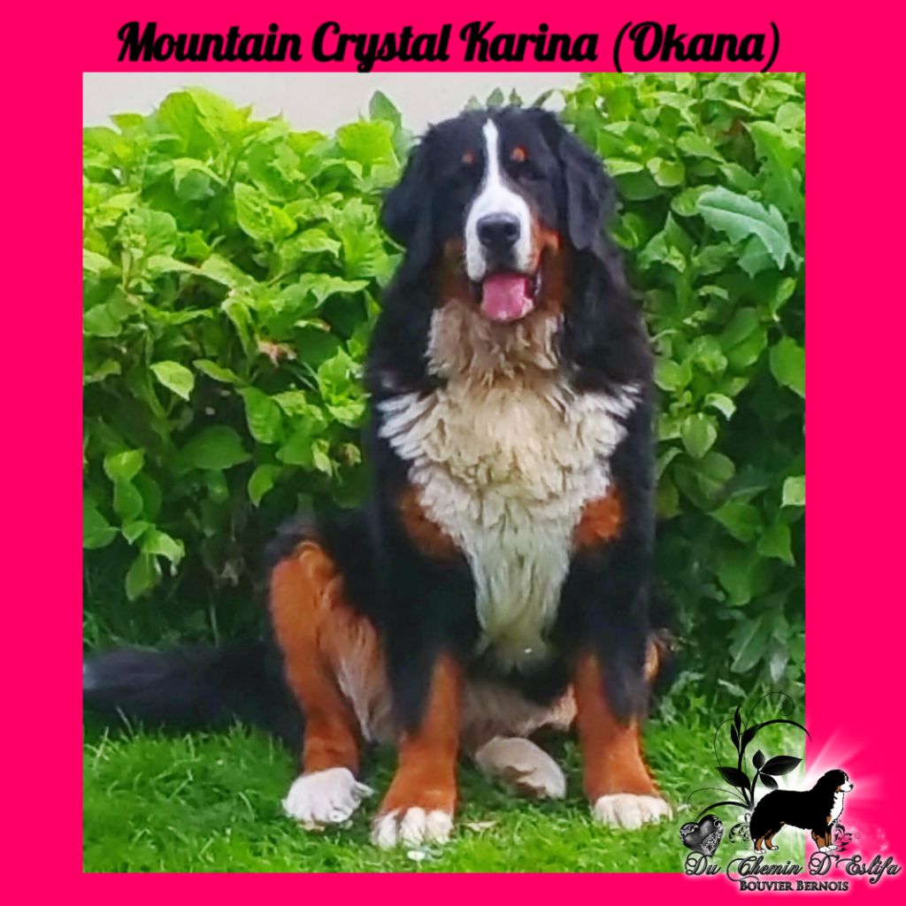 mountain crystal Karina...dite okana