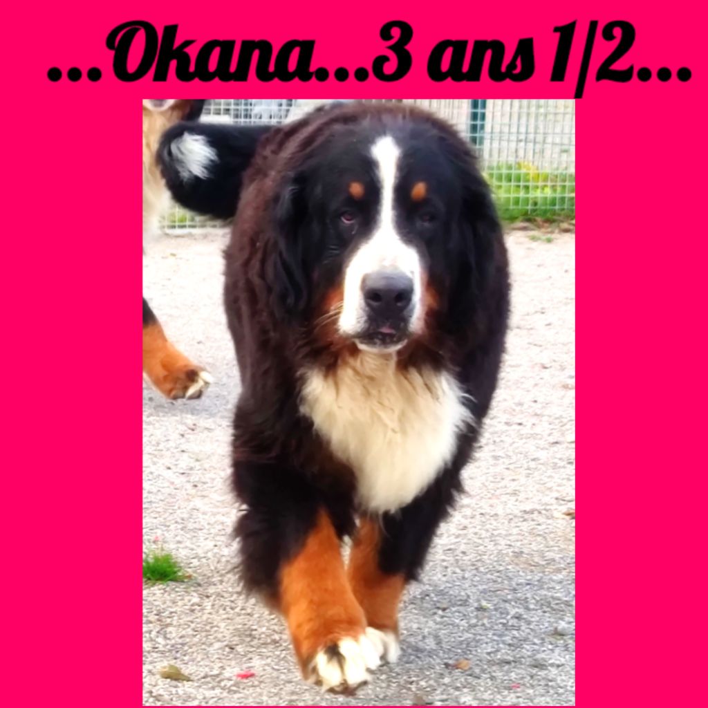 mountain crystal Karina...dite okana